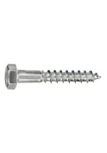 TIREFOND (HEXA) 10x100     40pcs ZI